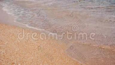 埃及，红海，<strong>金沙</strong>滩，水晶清水软波在慢运动